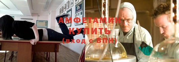хмурый Белокуриха
