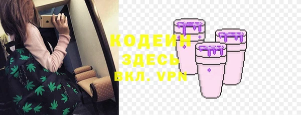 хмурый Белокуриха