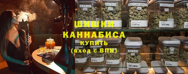 хмурый Белокуриха