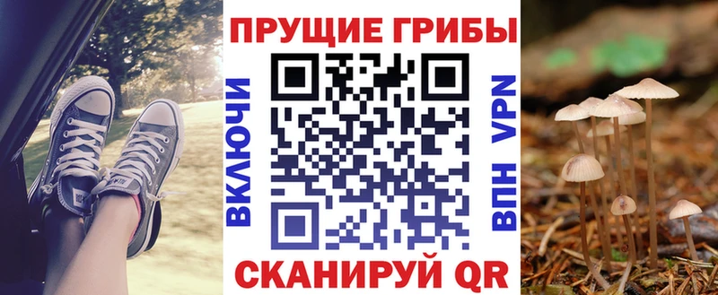 Галлюциногенные грибы мицелий  цена   Кологрив 