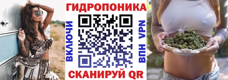 МАРИХУАНА гибрид  Кологрив 